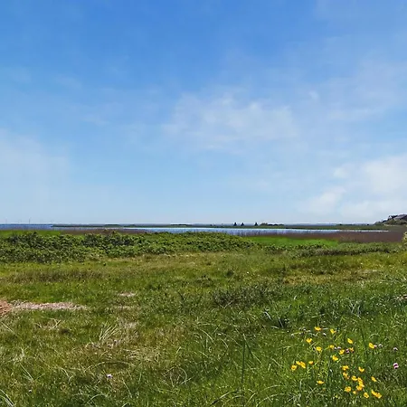 Holiday home 3 Bedroom Amazing In Hvide Sande Havrvig